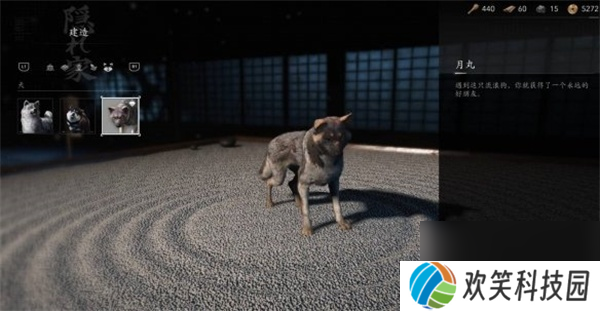 刺客信条影忠犬伸冤支线任务攻略分享
