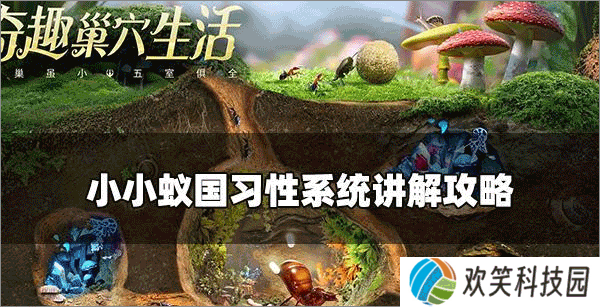 小小蚁国百度版